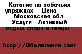 Катание на собачьих упряжках  › Цена ­ 500 - Московская обл. Услуги » Активный отдых,спорт и танцы   